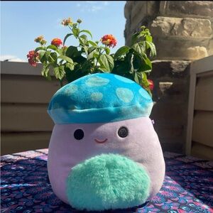 Pyle the mushroom Squishmallow 8” NWT